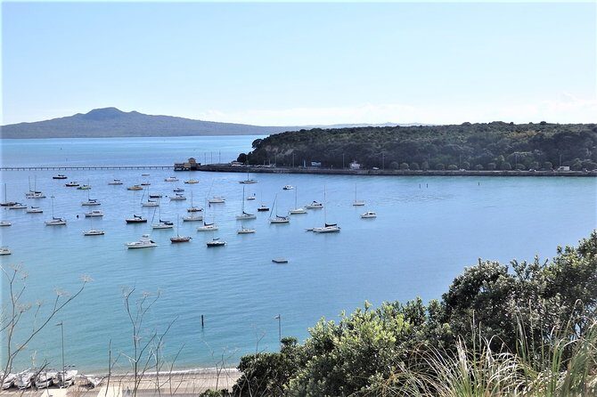 Half-Day: Small Group Auckland Scenic Tour - 4 HOURS - Start with Convenience and Comfort