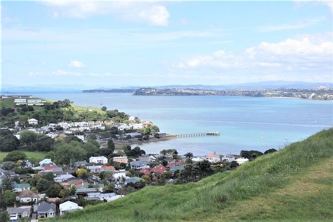 Half-Day: Small Group Auckland Scenic Tour - 4 HOURS - The Final Touches