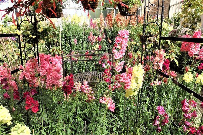 Half-Day: Small Group Auckland Scenic Tour - 4 HOURS - Value for Money