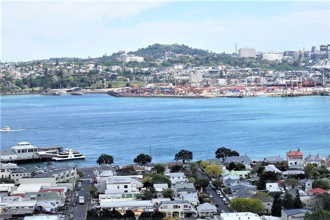 Half-Day: Small Group Auckland Scenic Tour - 4 HOURS - Who Would Enjoy This?
