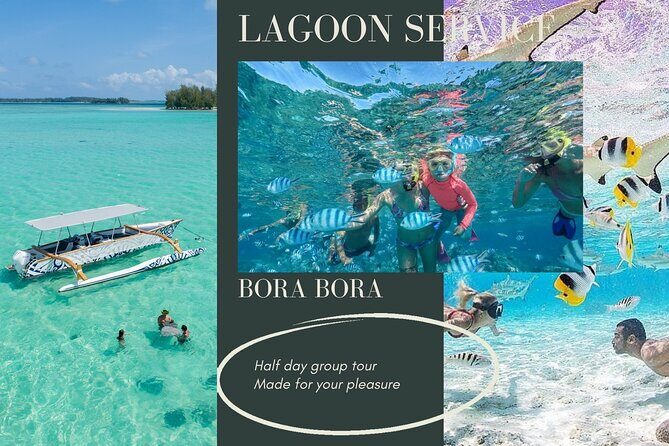 Half-Day Small-Group Cruise in Bora Bora with Snorkelling - The Price and Value for Money