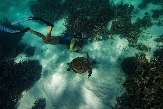 Half Day Snorkel 2.5hr Turtle Tour on the Ningaloo Reef, Exmouth - Final Thoughts: Is This Tour Worth It?