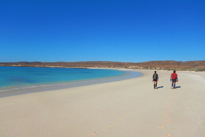 Half Day Snorkel 2.5hr Turtle Tour on the Ningaloo Reef, Exmouth - FAQs