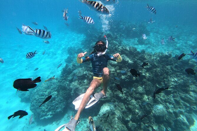 Half-Day Snorkeling Tour in Tahiti - An In-Depth Look at the Tour