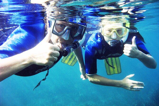 Half Day Snorkelling Experience with a dive boat in Kos Greece - Who Should Book This Tour?