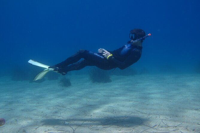 Half Day Snorkelling Experience with a dive boat in Kos Greece - FAQ