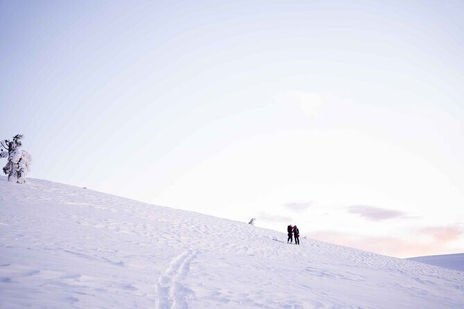 Half Day Snowshoe Hiking Adventure in Levi Lapland - The Sum Up