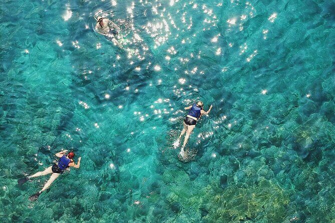 Half day speedboat tour to Solta island & Blue Lagoon from Trogir - Key Points