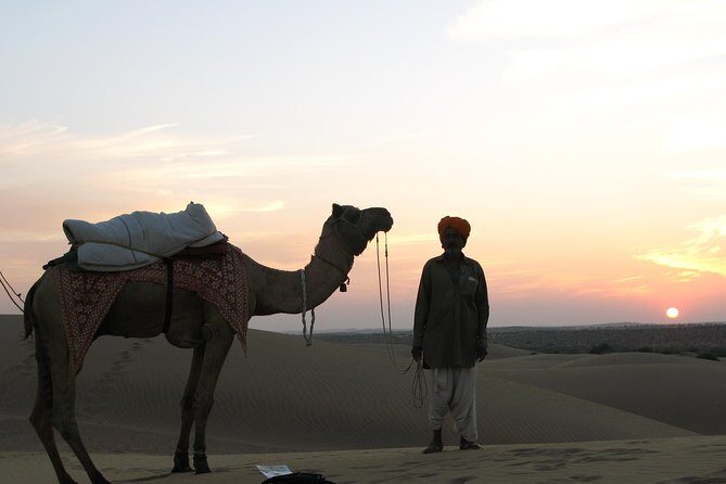 Half Day Sunset Camel ride & Cultural program dance & dinner - Key Points