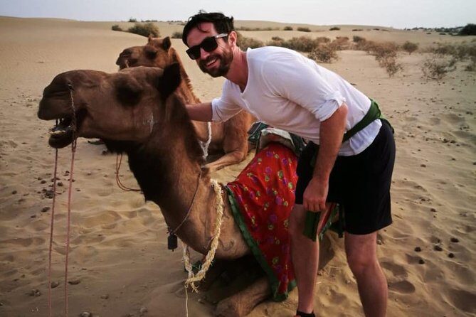 Half-Day Sunset Camel Safari in Rajasthan - Introduction