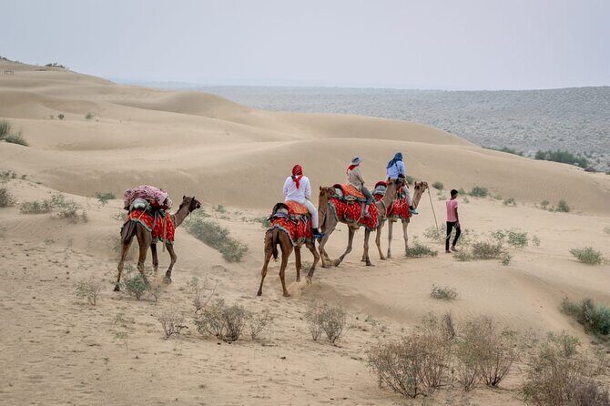 Half Day Sunset Camel Safari Jaisalmer - Starting with the Itinerary: How Your Afternoon Unfolds