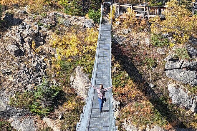 Half Day Suspension Bridge Tour in Skagway and Yukon - Key Points