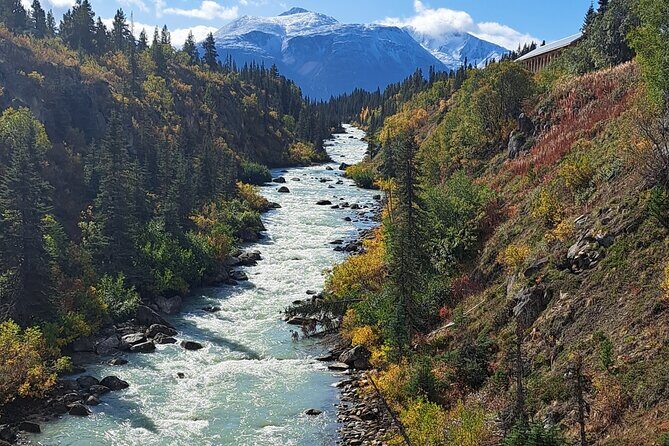 Half Day Suspension Bridge Tour in Skagway and Yukon - An In-Depth Look at the Tour Experience