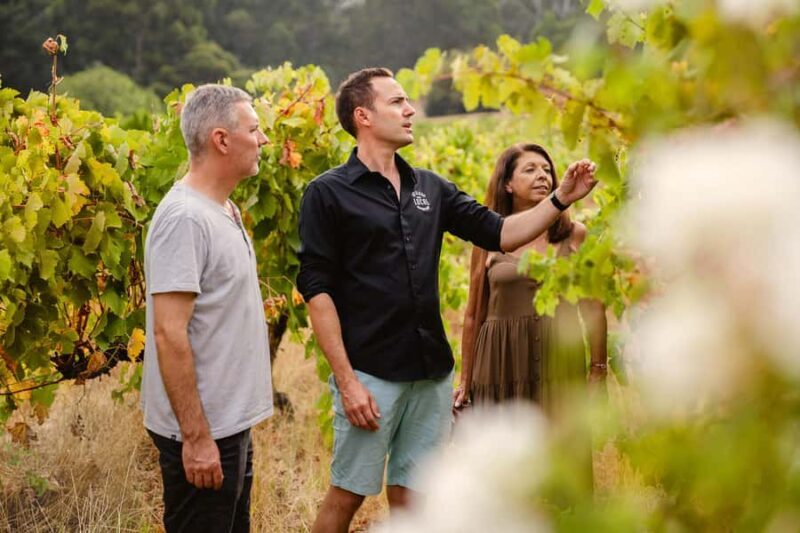 Half-Day Swan Valley Wine Tour with Tastings - From Perth - Why Choose the Swan Valley Half-Day Wine Tour?