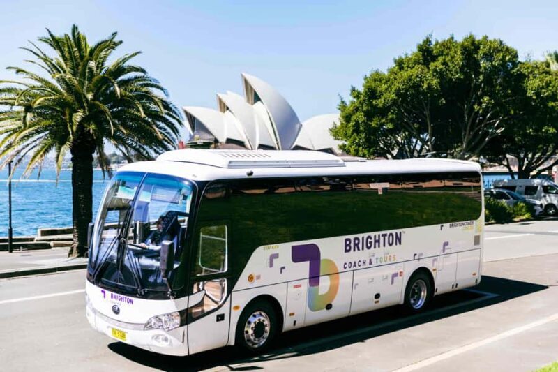 Half Day Sydney Sightseeing Tour - The Rocks & Bondi Beach - Frequently Asked Questions