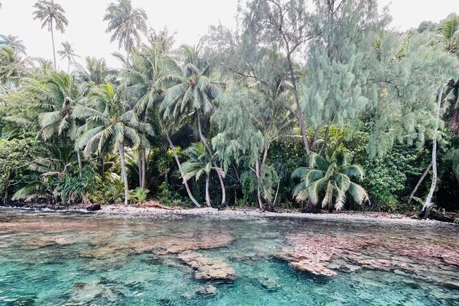 Half day Tahiti Peninsula and Teahupoo boat tour (shared boat) - A Closer Look at the Itinerary