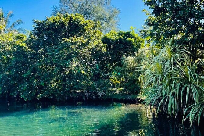 Half day Tahiti Peninsula and Teahupoo boat tour (shared boat) - Practical Tips for Travelers