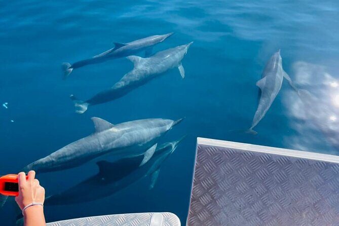 Half day Tahiti Peninsula and Teahupoo boat tour (shared boat) - FAQs