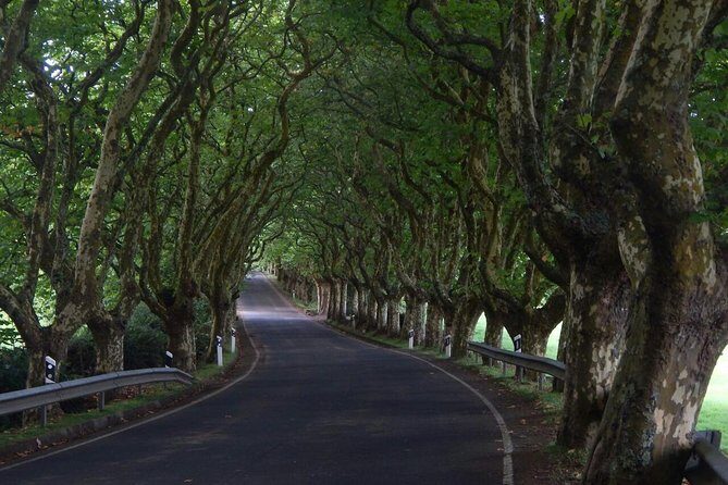 Half Day Terceira Island Tour by 4x4 - Who Is This Tour Best For?