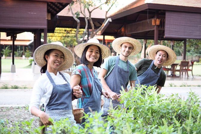 Half Day Thai Cooking Class in Organic Farm - Evening Session - A Deep Dive into the Experience