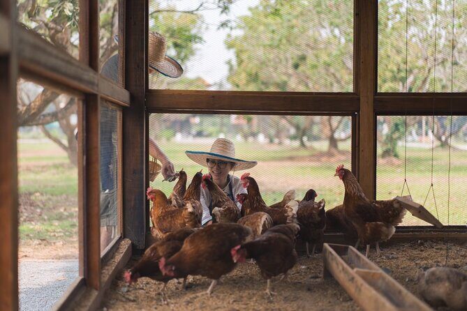 Half Day Thai Cooking Class in Organic Farm - Evening Session - Final Thoughts