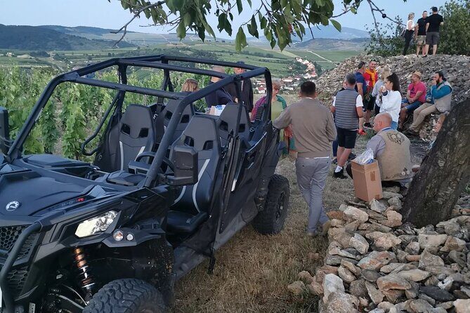 Half Day Tokaj Wine Tasting Tour in Mád Hungary with lunch - A Complete Look at the Mád Tokaj Wine Tasting Tour