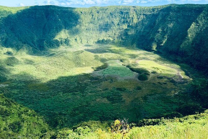 Half-Day Tour around Faial Island - Who Will Love This Tour?
