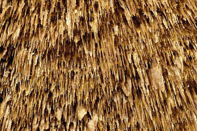 Half Day Tour Bus to the Caves of Drach - Practical Tips for Your Visit