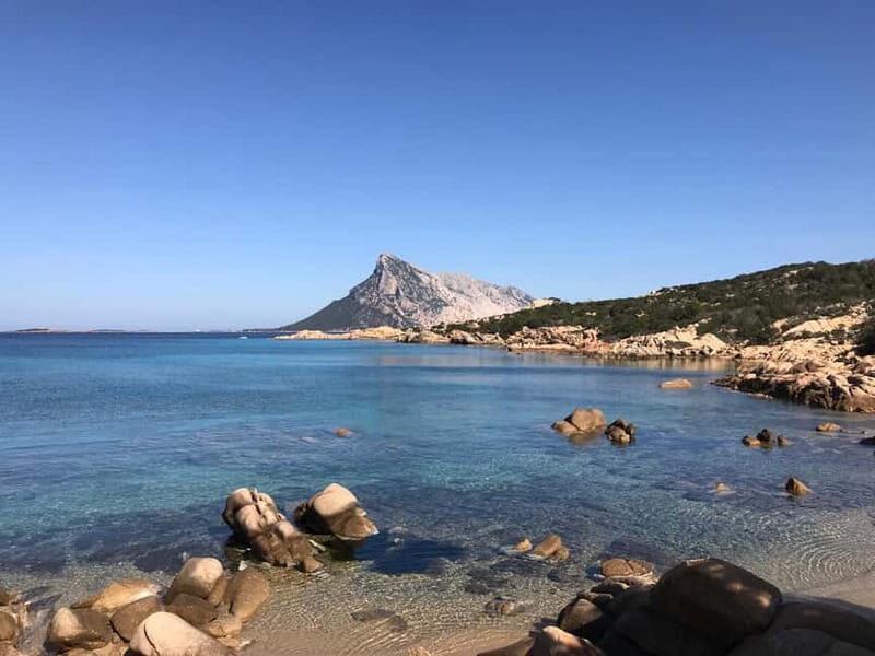 Half-day tour by dinghy in the Tavolara Marine Protected Area - An Itinerary Designed for Visual and Physical Delight