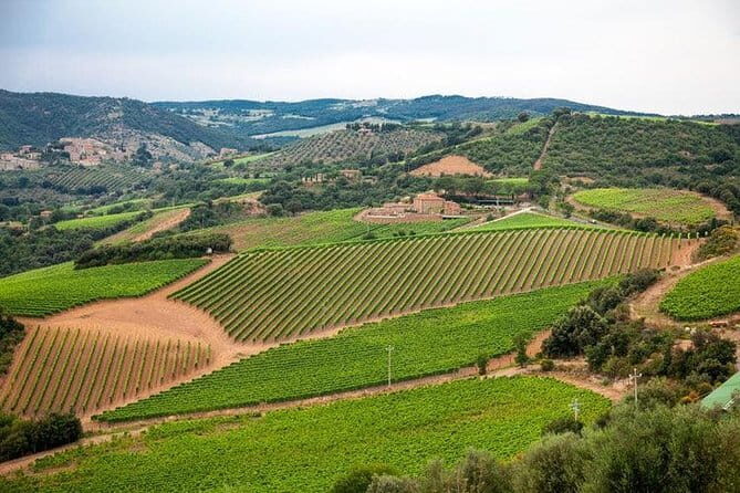 Half Day Tour Chianti Winery with San Gimignano - The Experience: What to Expect from the Tour