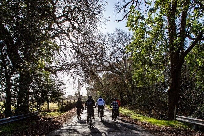 Half Day Tour - An In-Depth Look at the Sonoma Bike Tour