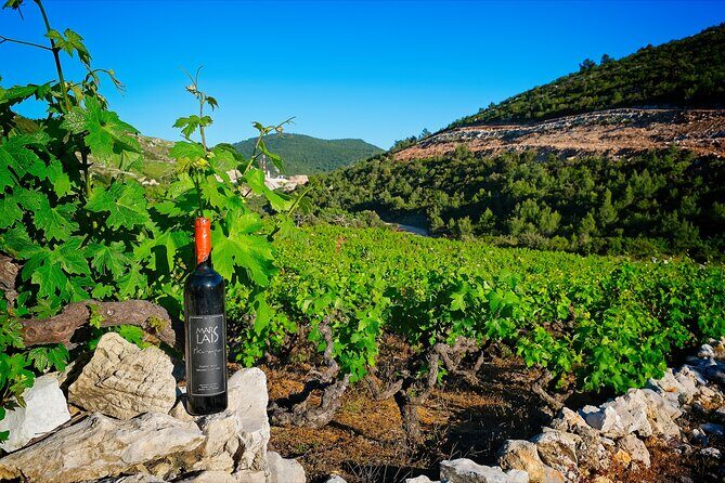Half Day Tour - Deep and Dark Red Wine of Peljeac - Pricing and Value