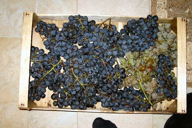 Half Day Tour - Deep and Dark Red Wine of Peljeac - FAQ