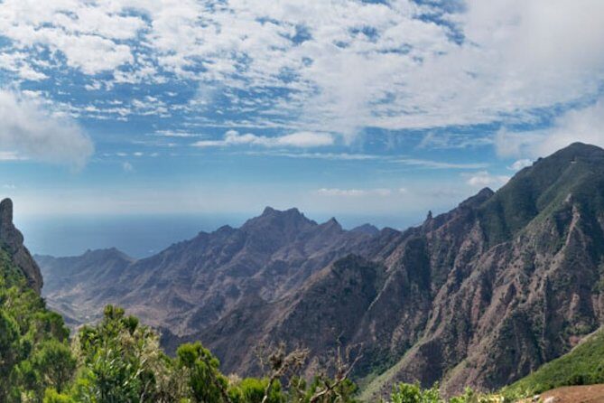Half Day Tour Discovering Anaga Tenerife - Key Points
