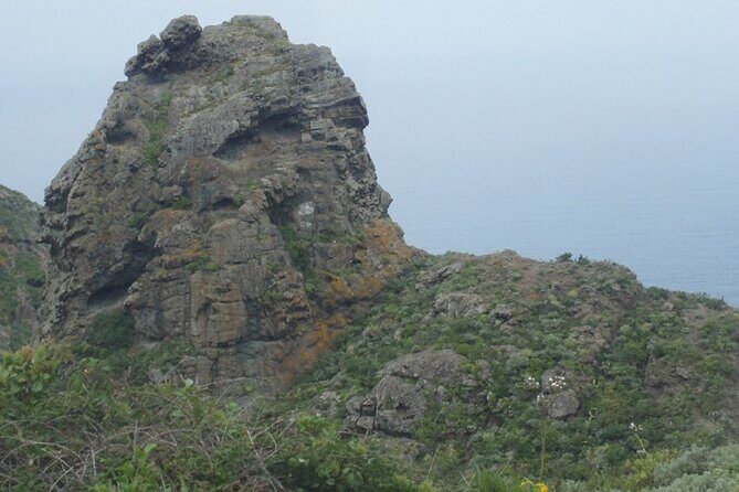 Half Day Tour Discovering Anaga Tenerife - Final Words