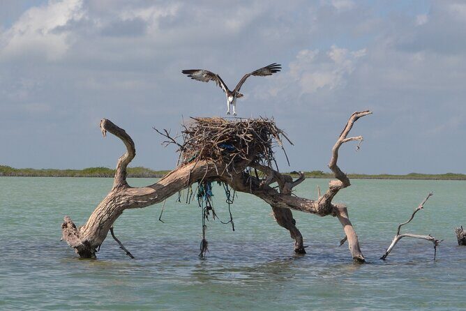 Half-Day Tour Discovering Sian Ka´an with Lunch - Exploring the Itinerary in Detail