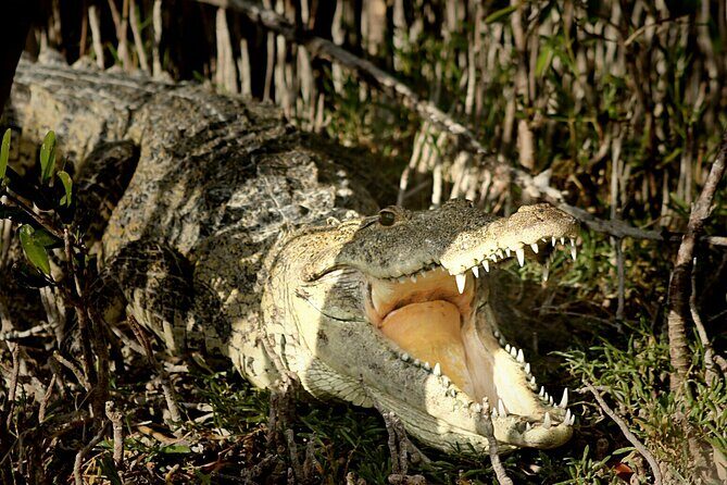 Half-Day Tour Discovering Sian Ka´an with Lunch - FAQs