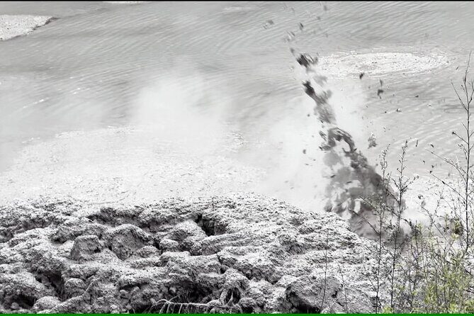 Half-Day Tour - Ex Rotorua: WAI-O-TAPU Thermal Wonderland - What the Tour Offers: An Honest Breakdown