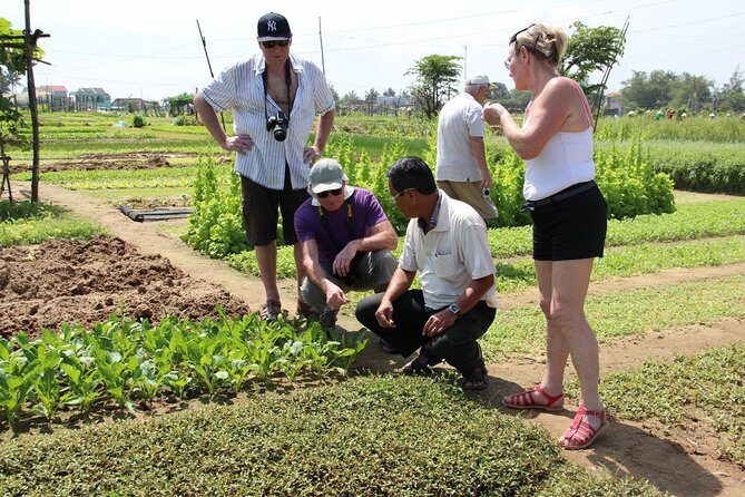 Half-day tour From Farmer to Lantern Maker in Hoi An - Summary: Is This Tour Right for You?