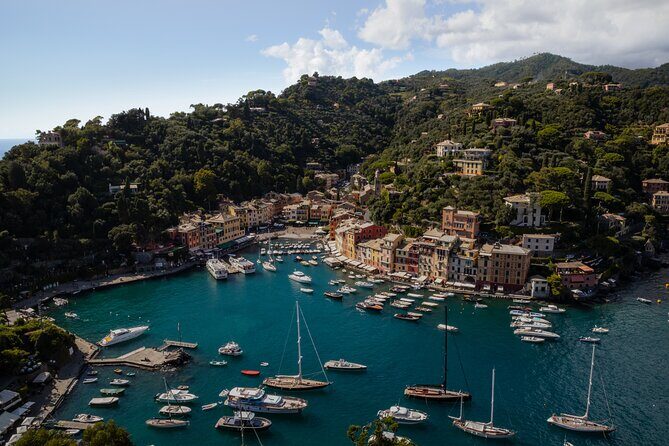 Half-day tour from Genova to Portofino - Transportation and Group Experience