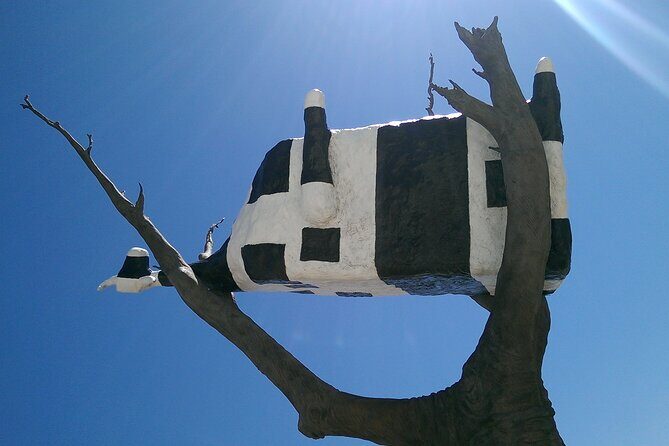 Half Day Tour in Melbourne City Highlights - What We Heard from Past Participants