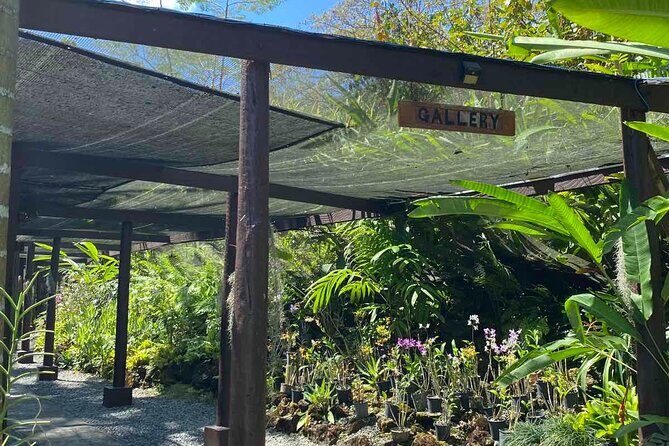 Half Day Tour in Nadi - The Sum Up