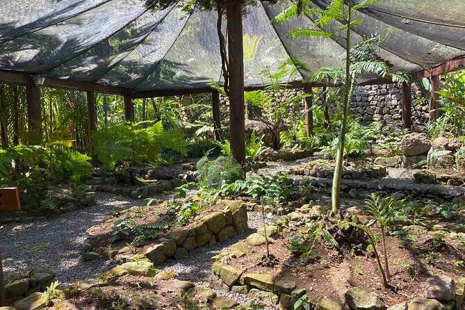 Half Day Tour in Nadi - FAQs