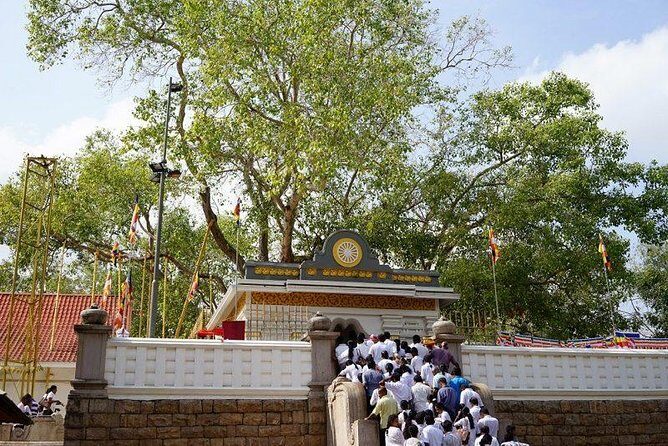 Half day tour - in Sacred city of Anuradhapura Or sacred city of Mihintale. - Who Will Love This Tour?