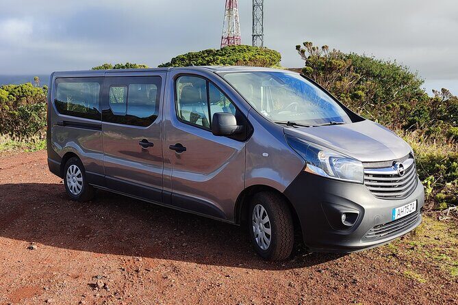 Half Day Tour Natural Highlights of Faial Island - The Itinerary: From Viewpoints to Volcanic Marvels