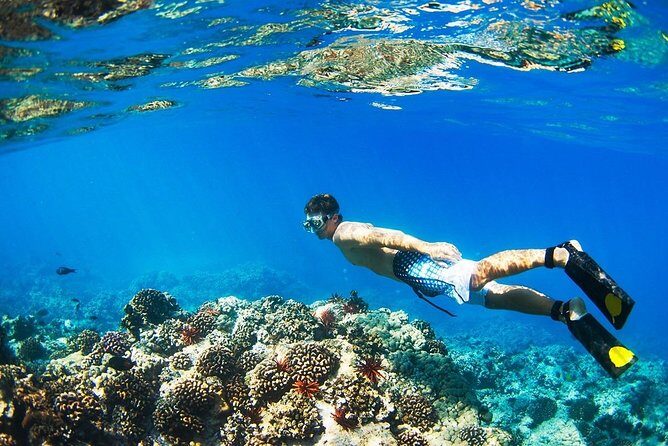 Half Day Tour Snorkeling in Nha Trang Bay Included Lunch - FAQs