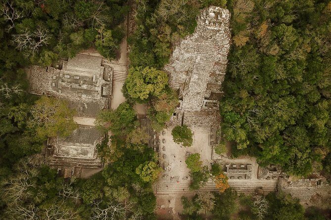 Half-Day Tour to Ancient Coba Ruins and Swim at Mayan Cenote - Real Traveler Insights and Experiences