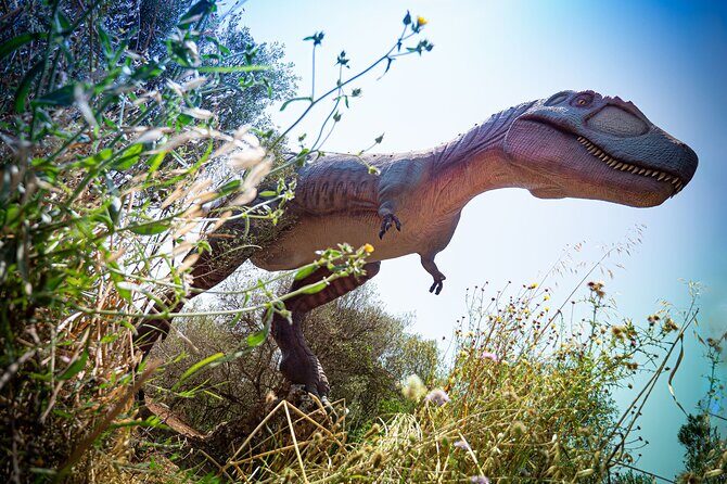Half Day Tour to Dinosaur Land in Mallorca - Final Thoughts: Is This Tour Worth It?