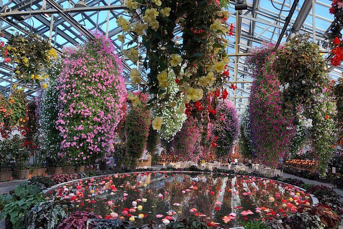 Half-day tour to enjoy Japan's largest illumination and outlet - Additional Inclusions and Considerations