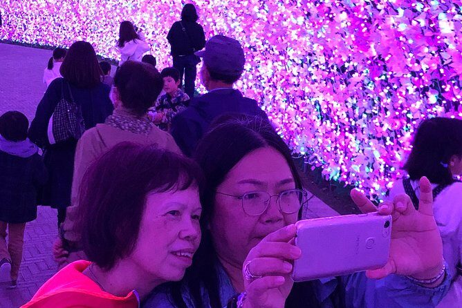 Half-day tour to enjoy Japan's largest illumination and outlet - Why This Tour Works